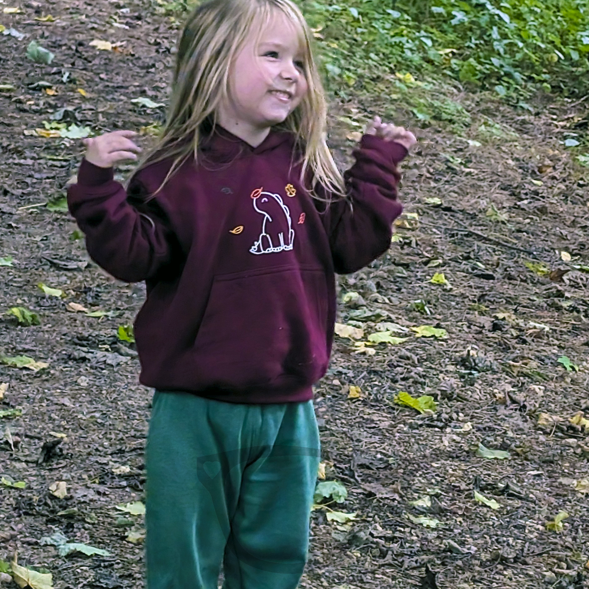 young child wearing the burgundy dino autumn fall hoodie in a woodland setting