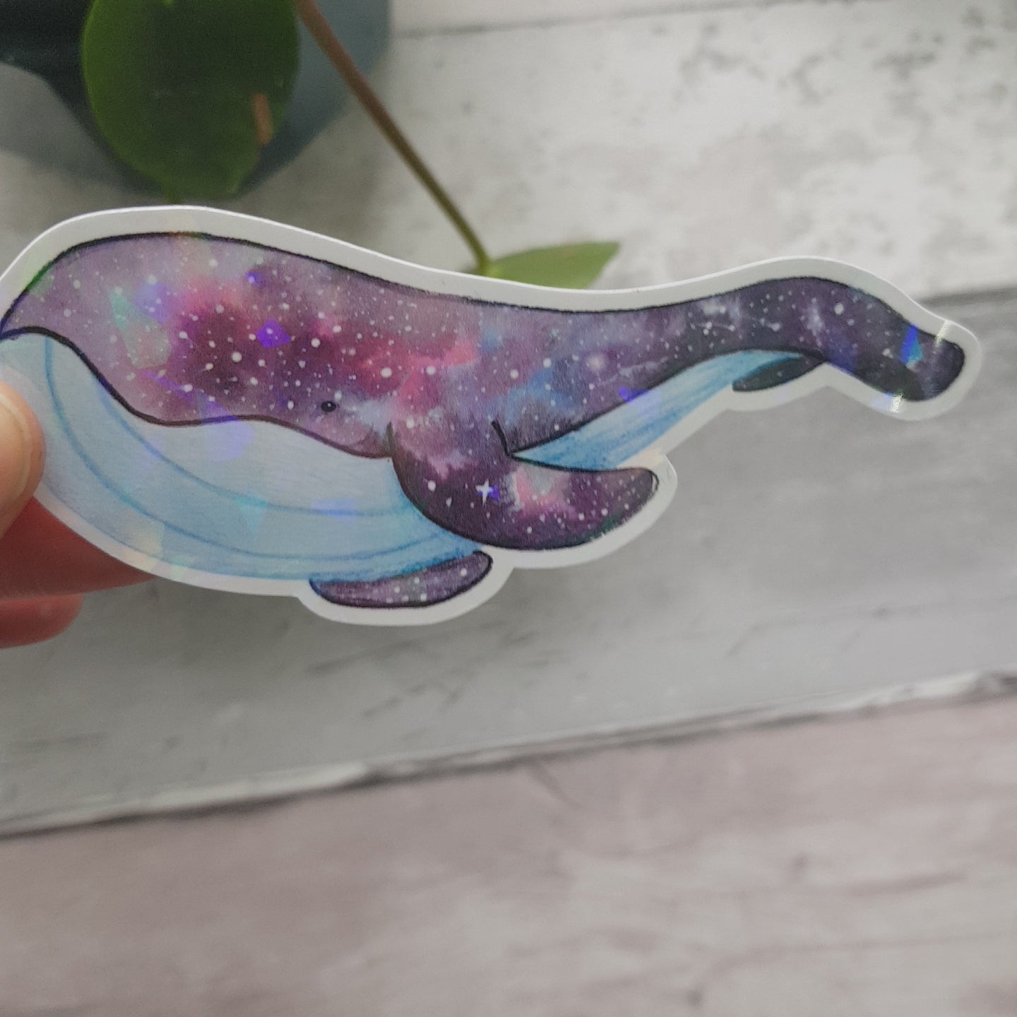 video showing the sparkling effect on the space whale vinyl sticker